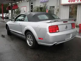 05_stang_vert.webp