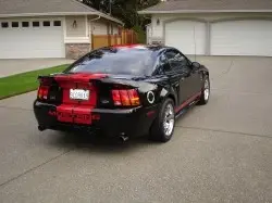 mustang.webp