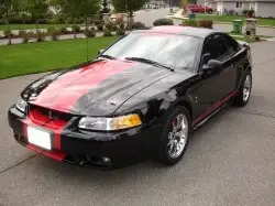mustang2.webp