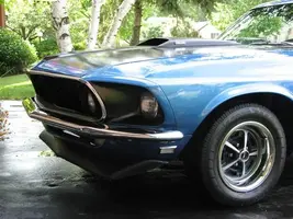 mustang front (Small).webp