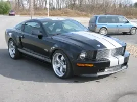 Shelby1 012.webp
