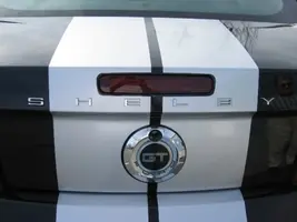 Shelby1 015.webp