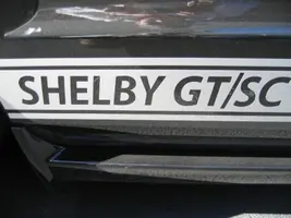 Shelby1 026.webp