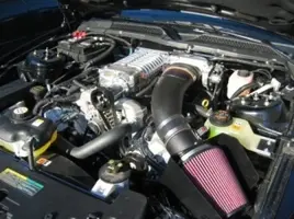 Shelby1 037.webp