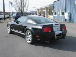 Shelby1 0132.webp