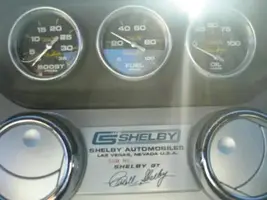 Shelby1 0332.webp