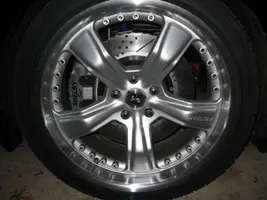 Shelby2 023.webp