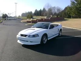 mustang 045 (Small).webp