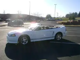 mustang 046 (Small).webp