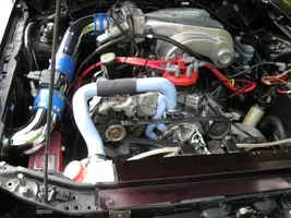 stang1.webp