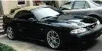 Mustang001.webp