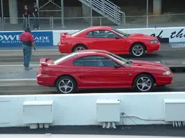 251508364_l.webp