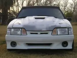 mymustang-1.webp