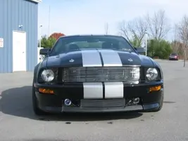 Shelby1 011.webp