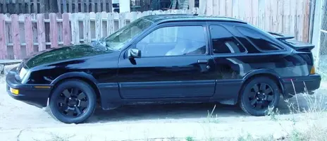 black 2.webp