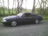 stang side view small.webp