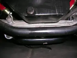 DSCN1351.webp