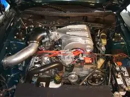 S5000008-stangnet.webp