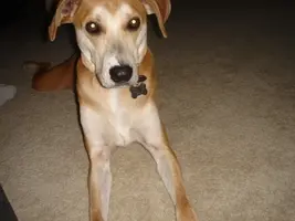 Buster 002.webp