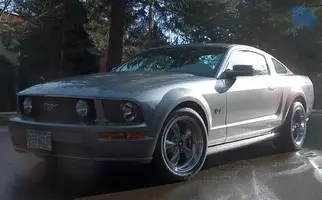 MustangNewProfile02.webp