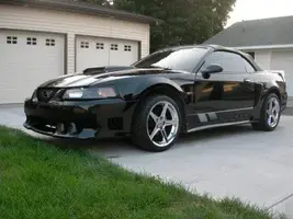 Copy of Mustang 035.webp