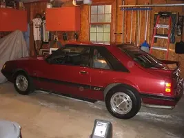 mustang 1.webp