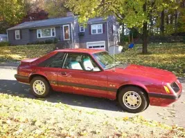 mustang 4.webp