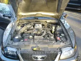 saleeneng.webp
