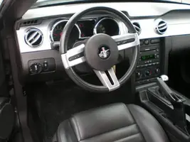 07stang3.webp