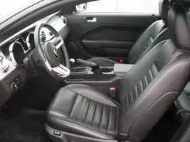 07stang4.webp