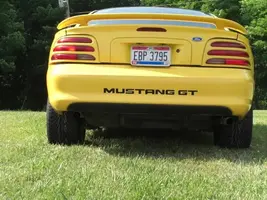 stang.webp