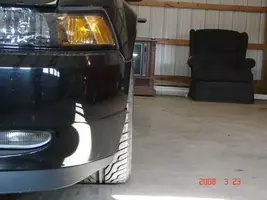 Mustang 001.webp