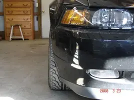 Mustang 004.webp