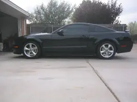 stang1.webp