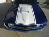 mustang3.webp