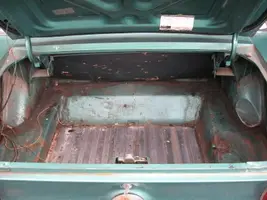 Trunk 1.webp