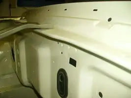 mustang drip rail.webp