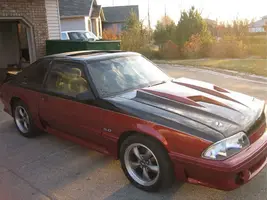mustang_897x672.webp