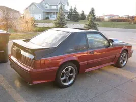 mustang3_897x672.webp