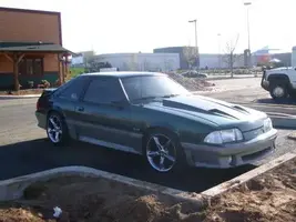 stang02.webp