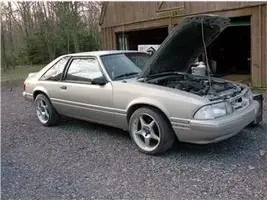 side shot.webp
