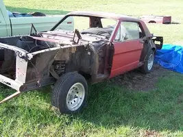 mustang 04.webp