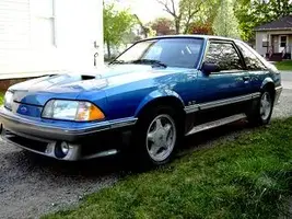 stang22.webp
