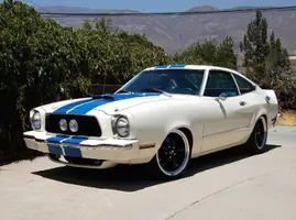 Copy of Mustang 109.webp