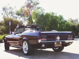 newmustang 122.webp