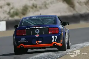 000361_lg.webp