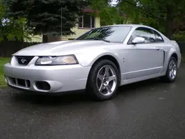 cobra 003.webp