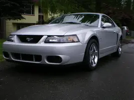 cobra 004.webp