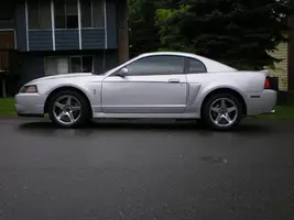 cobra 005.webp