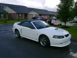 mustang 039 (Small).webp